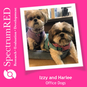 Harlee the Shih Tzu at SpectrumRED 